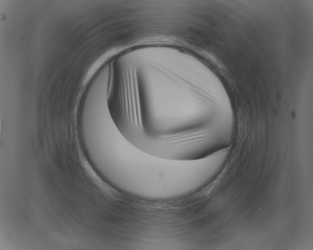 X0000081291422200702012233