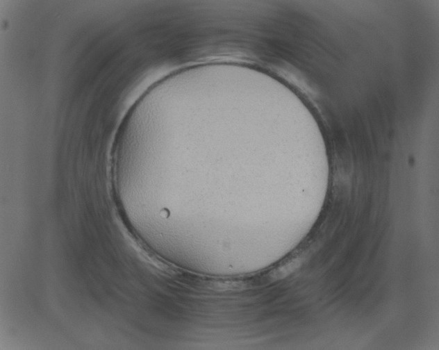 X0000081291423200702012233