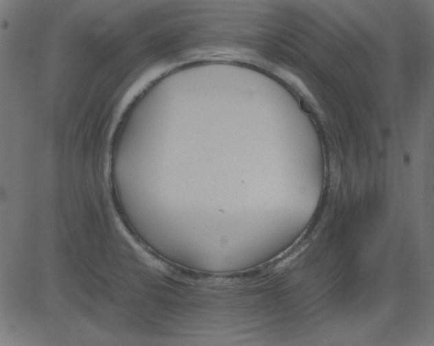 X0000081291424200702012233