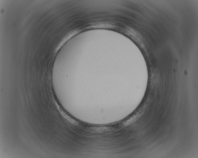 X0000081291425200702012233