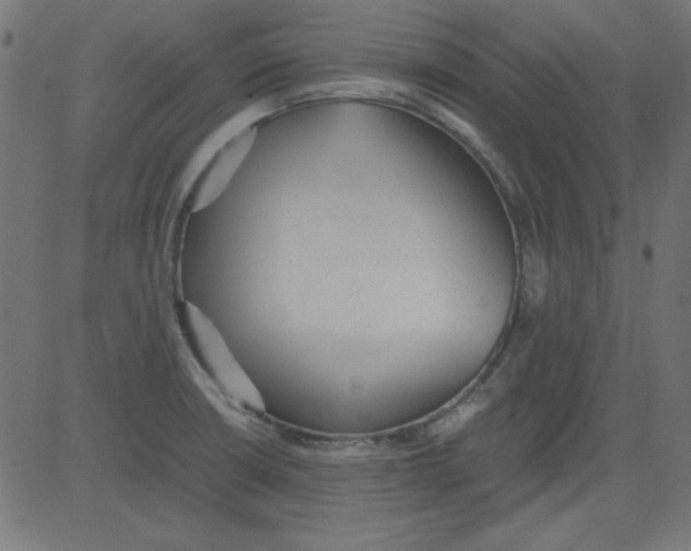 X0000081291426200702012233