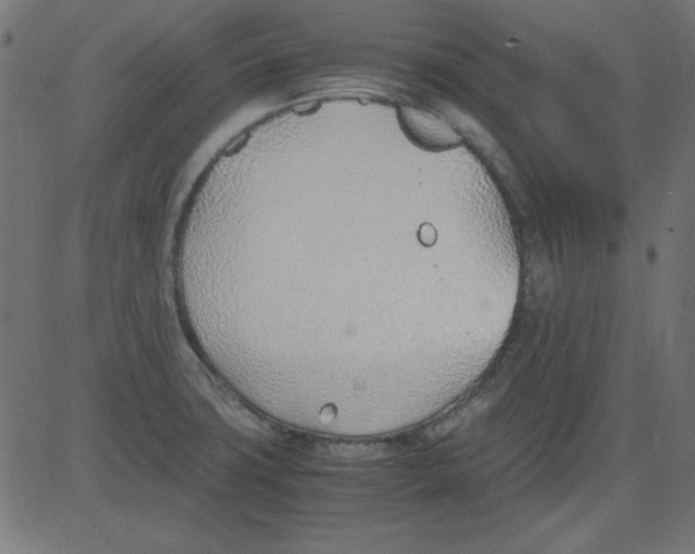 X0000081291427200702012233