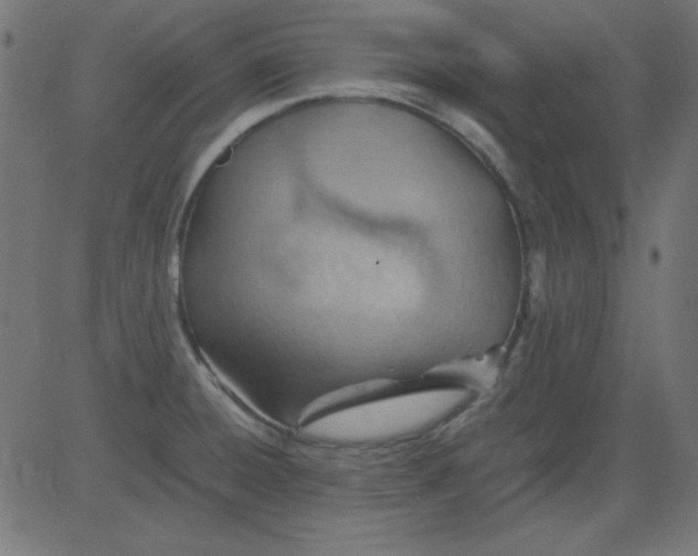 X0000081291428200702012233