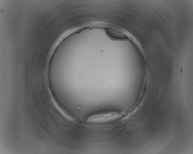 X0000081291429200702012233