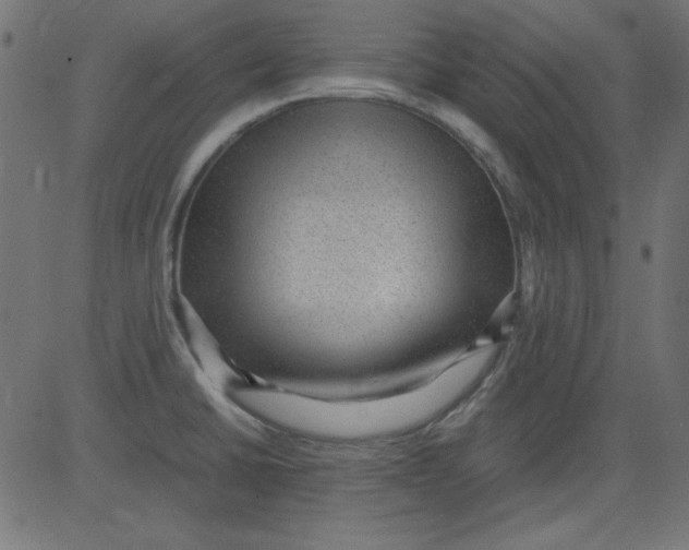 X0000081291430200702012233