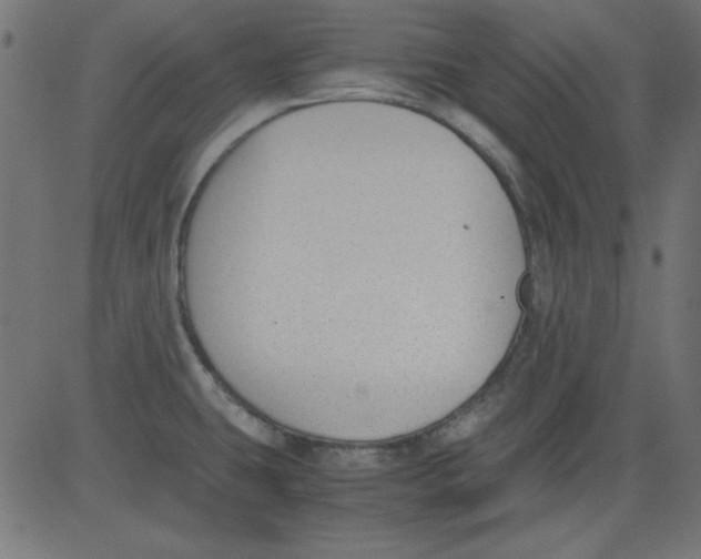 X0000081291431200702012233