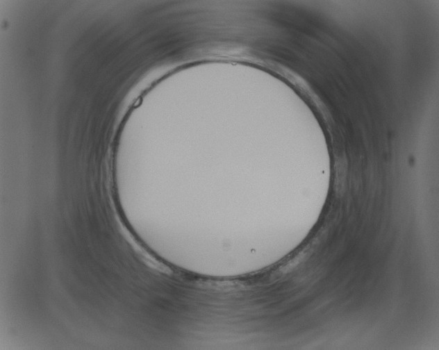 X0000081291432200702012233