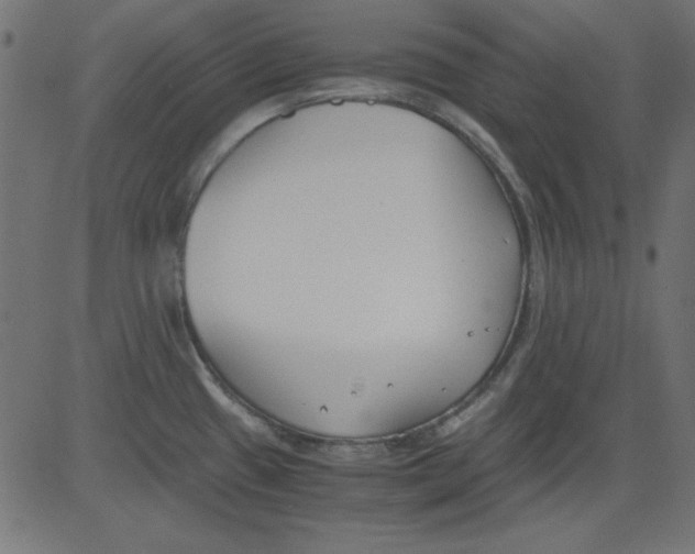 X0000081291433200702012233