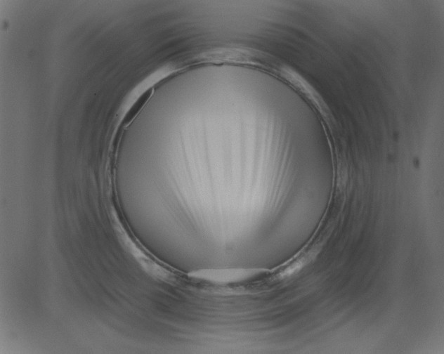 X0000081291434200702012233