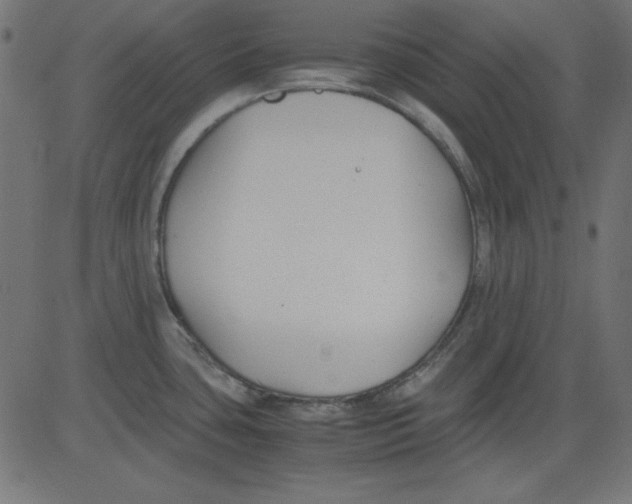 X0000081291435200702012233