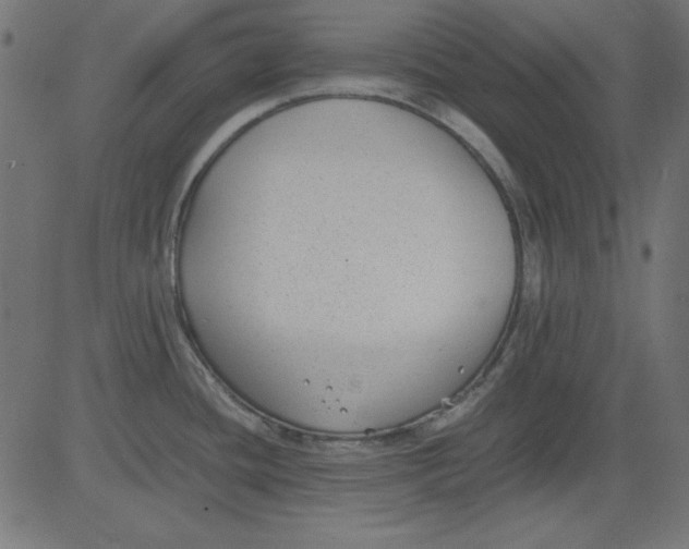 X0000081291436200702012233