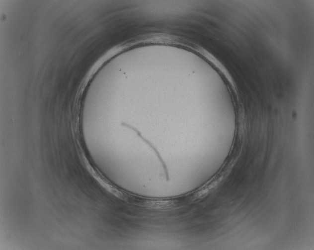 X0000081291437200702012233