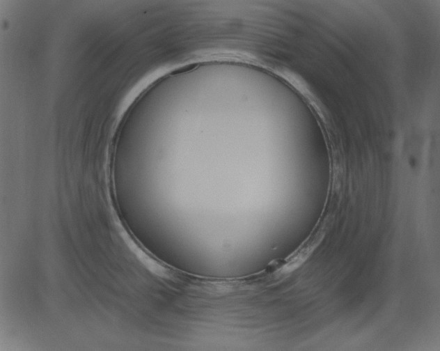 X0000081291438200702012233