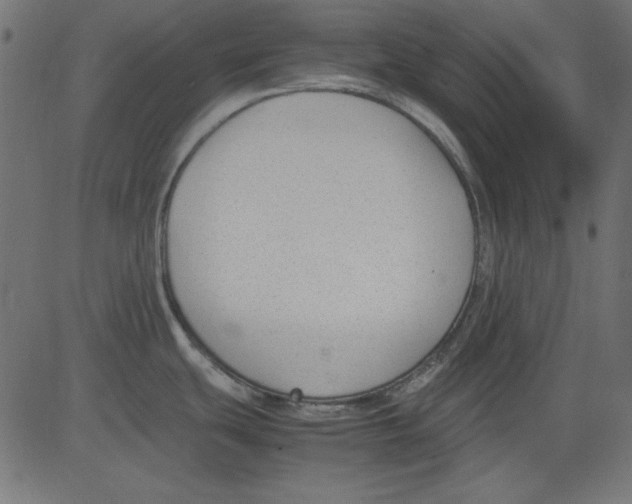 X0000081291439200702012233