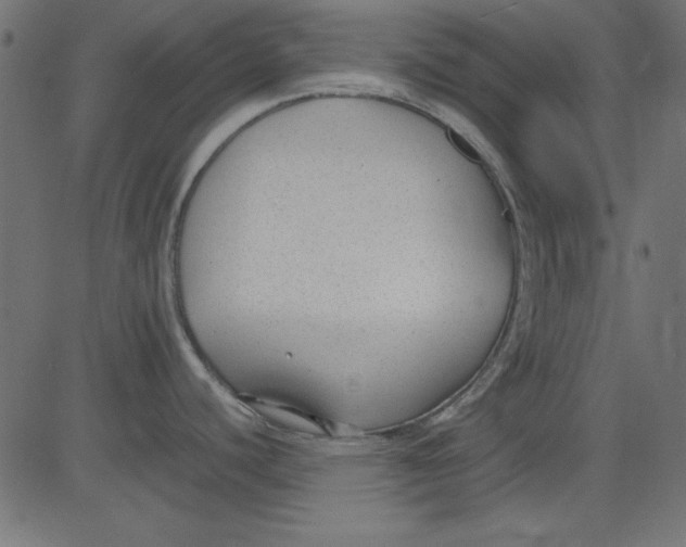 X0000081291440200702012233