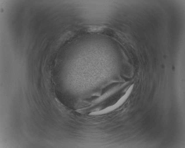 X0000081291441200702012232