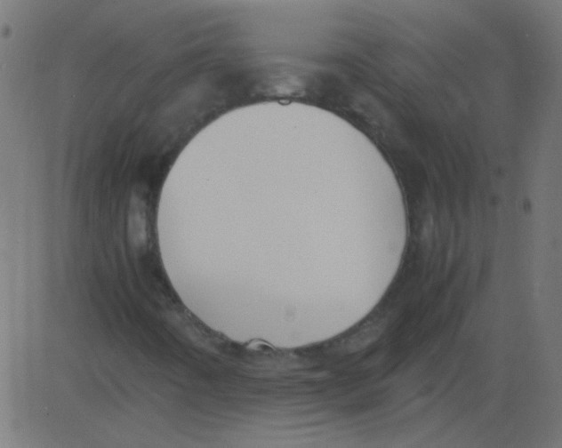 X0000081291442200702012232