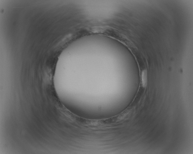 X0000081291443200702012232