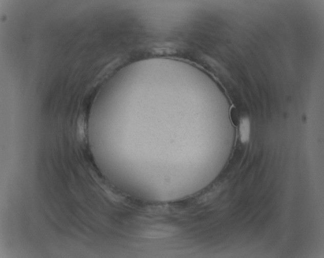 X0000081291444200702012232