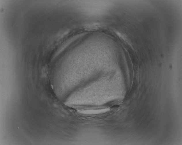 X0000081291445200702012232