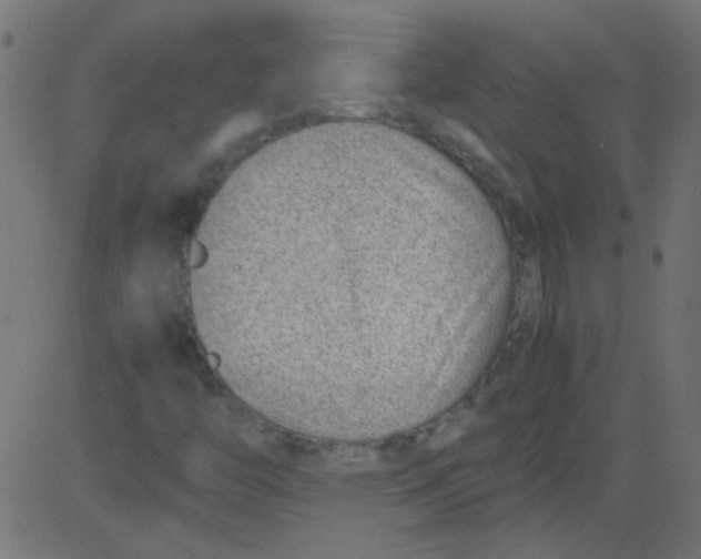 X0000081291446200702012232