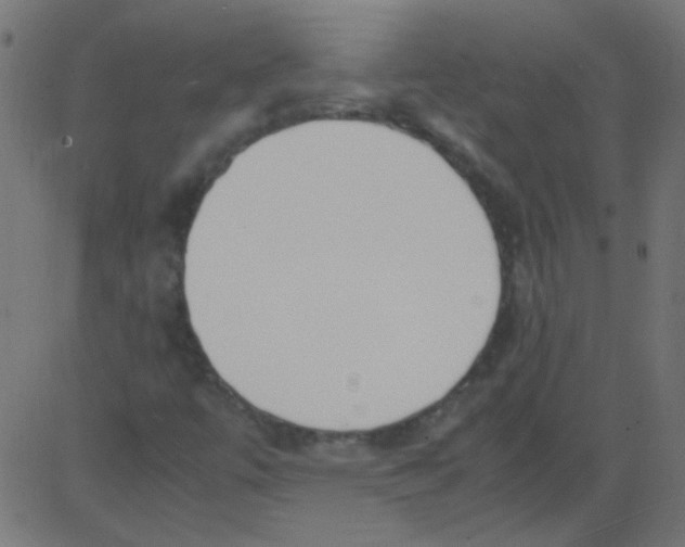 X0000081291447200702012232