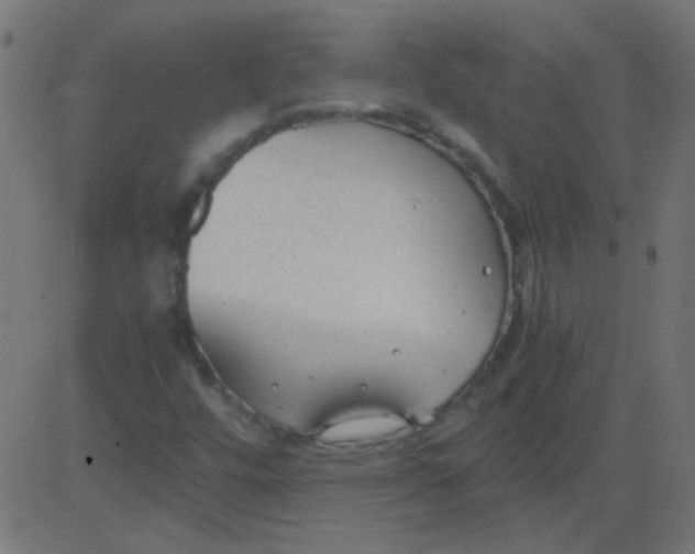 X0000081291448200702012232