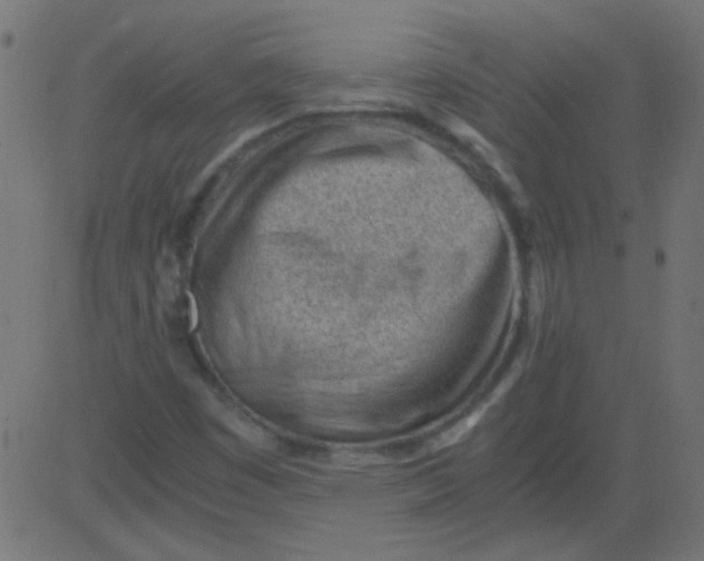 X0000081291449200702012232