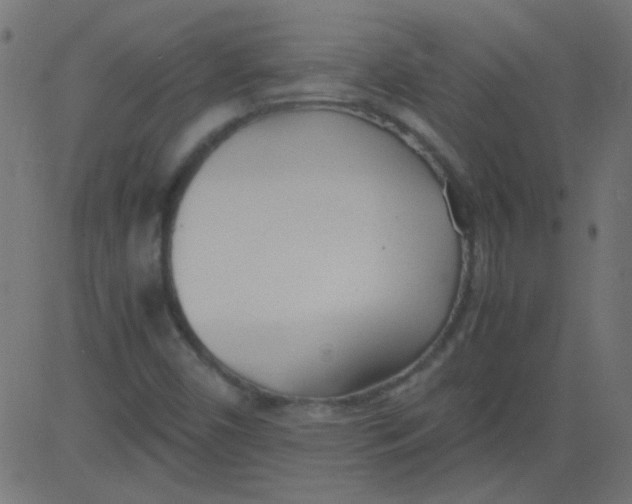 X0000081291450200702012232