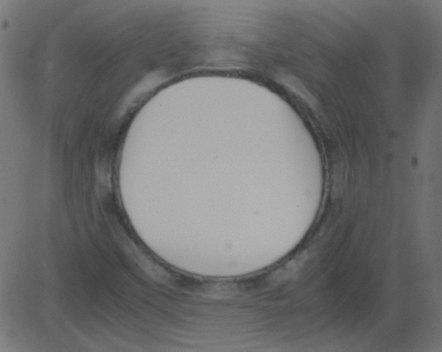 X0000081291451200702012232