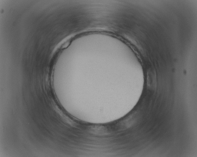 X0000081291452200702012232