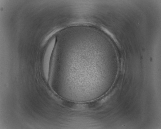 X0000081291453200702012232