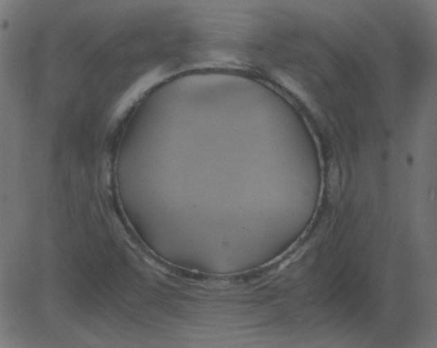 X0000081291455200702012232