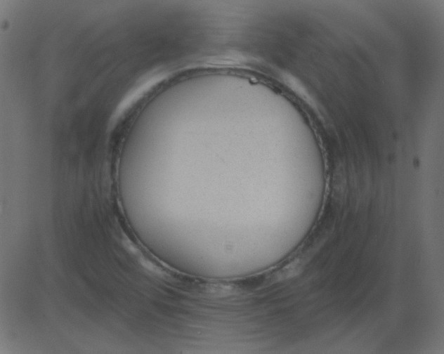 X0000081291456200702012232