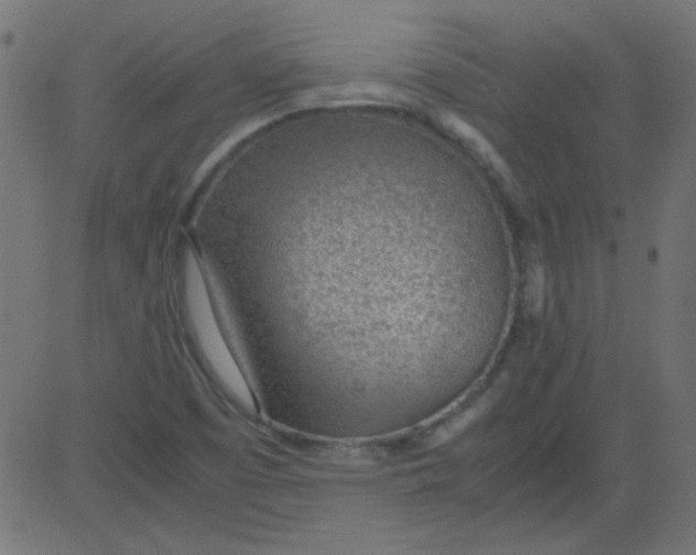 X0000081291457200702012232