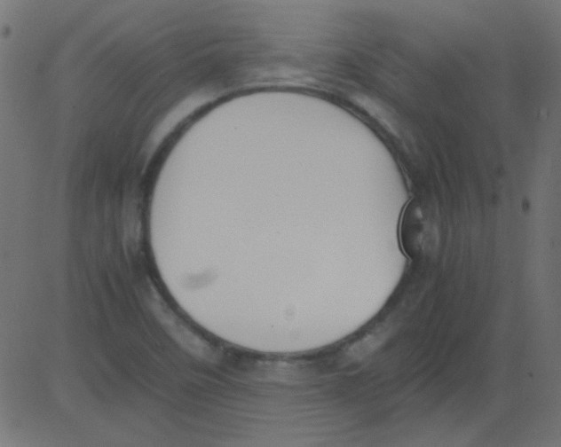 X0000081291458200702012232