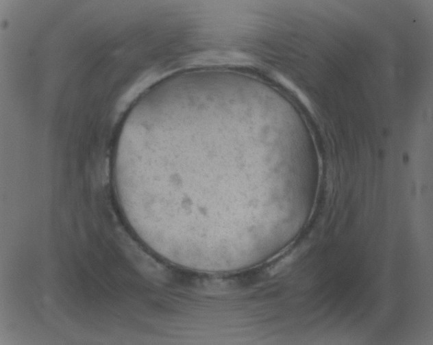 X0000081291459200702012232