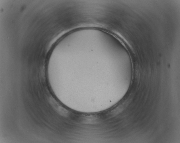 X0000081291460200702012232