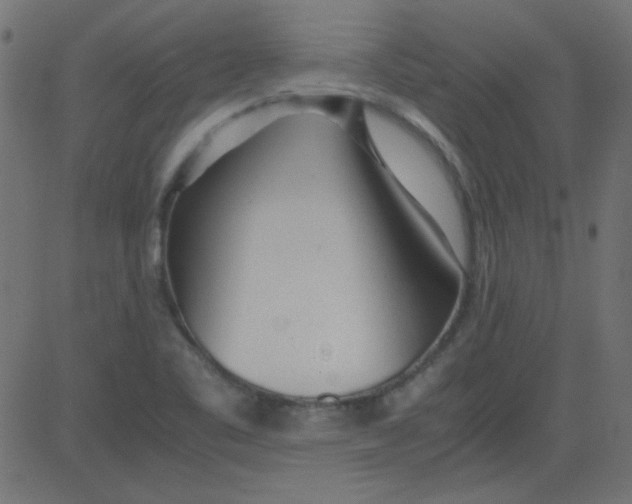 X0000081291461200702012232