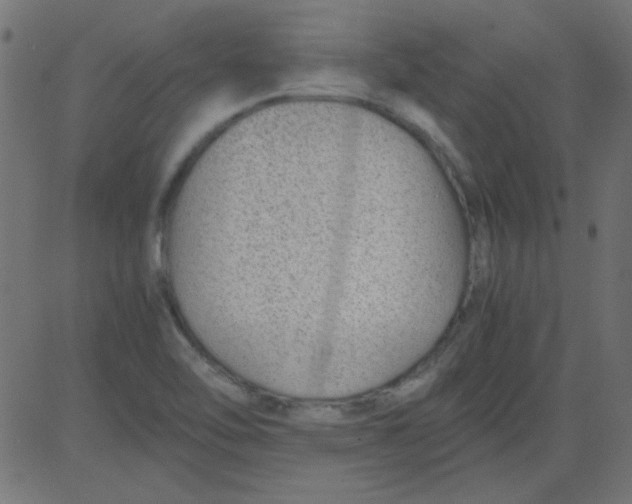 X0000081291462200702012232