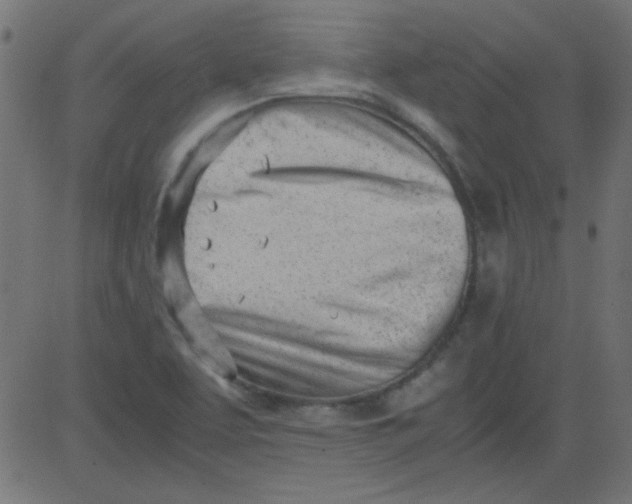 X0000081291463200702012232