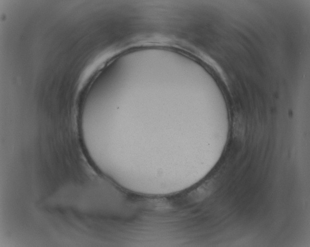 X0000081291464200702012232