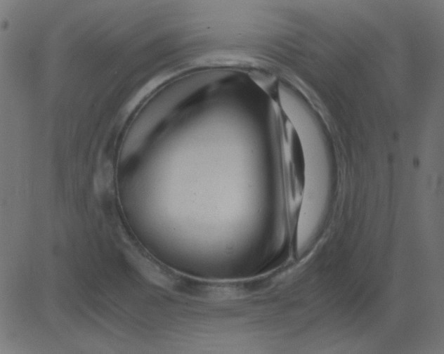 X0000081291465200702012232