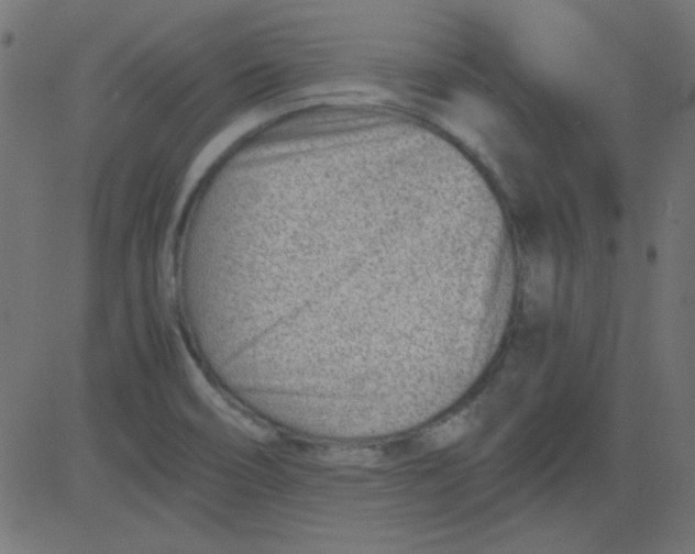 X0000081291466200702012232