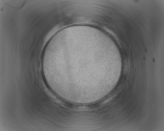 X0000081291467200702012232