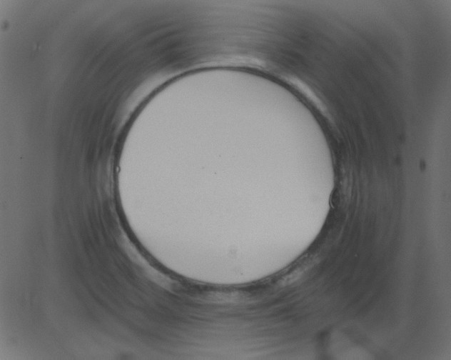 X0000081291468200702012232