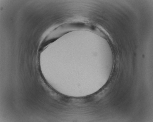 X0000081291469200702012232