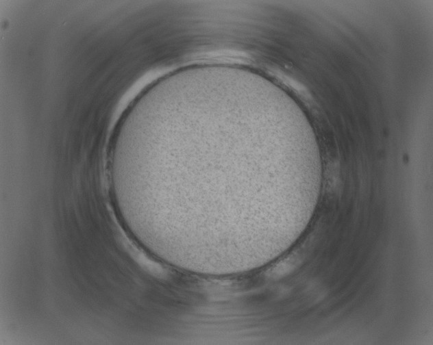 X0000081291470200702012232