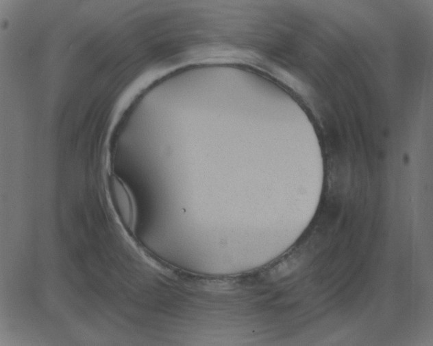 X0000081291472200702012232