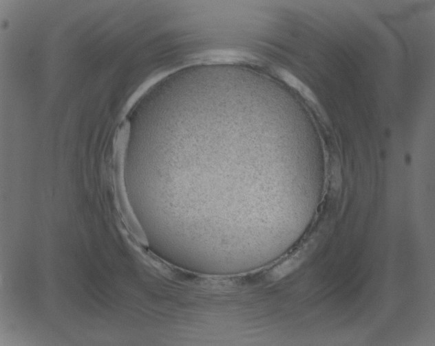 X0000081291473200702012232